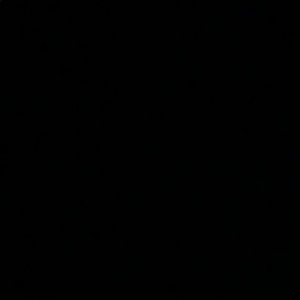 Meet your Posher, Tabitha